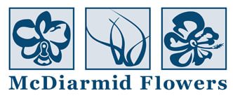 Flower delivery in Winnipeg MB image