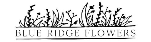 Flower delivery in Blue Ridge GA image