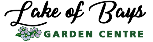 Flower delivery in Dwight ON image