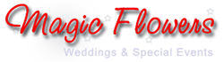 Flower delivery in Harwood Heights, Cook County IL image