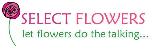 Flower delivery in Mississauga, Etobicoke, Brampton ON image