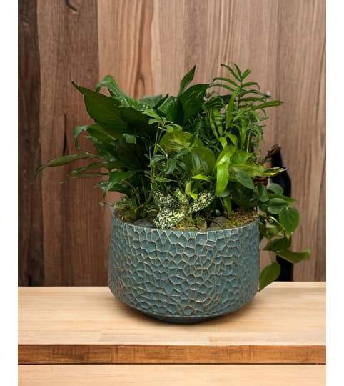 Green Plants in Paramus, NJ - Paramus Flower Shop
