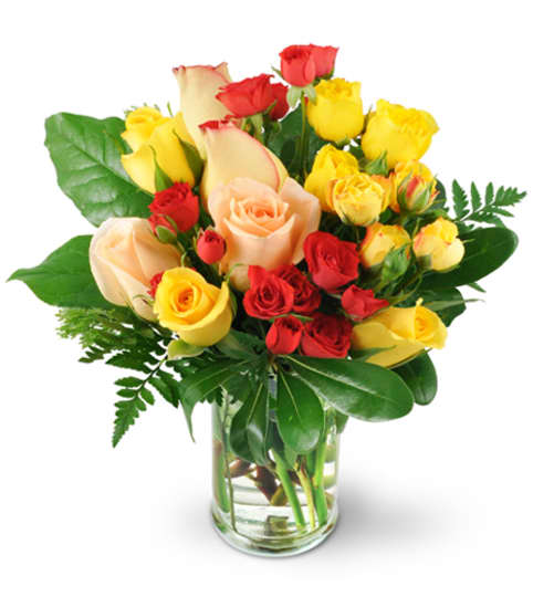 Yellow Flowers in Forest Hill, Toronto, ON - Fresh Cut Bouquets