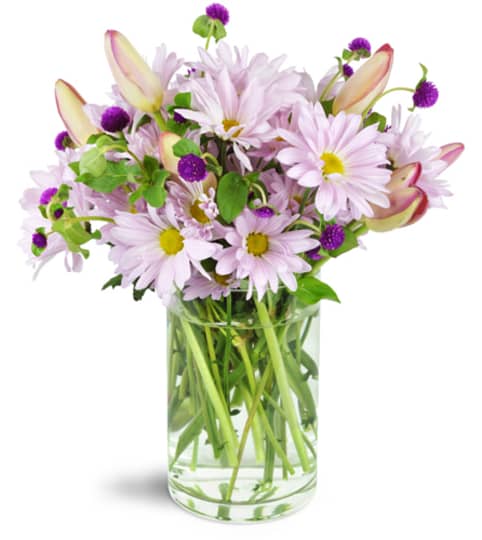 Flower lovers様★相談ページ j2sgffatvlfcltj3idi1.jpg