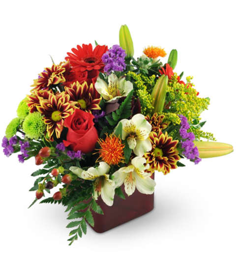Flowers Between $60-$80 in Hernando-DeSoto, MS - Dorothy K's