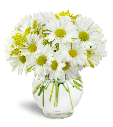 flowersページです❤️ vip7twkwkzqqte0is3qi.jpg