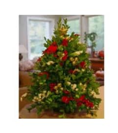 Oregon boxwood tree decorated. An arrangement by Brasco Florist.
