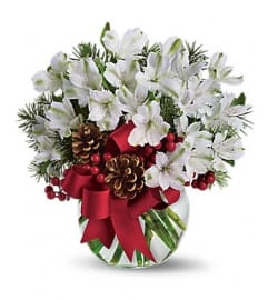 LET IT SNOW. An arrangement by Fine's Flowers.