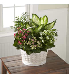 Dishgarden. An arrangement by Flowers By Stephanie.