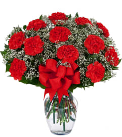 12 Red Carnations Arranged in a Glass Vase. An arrangement by Floratechnics.