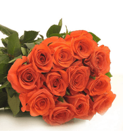 Perfectly wrapped Orange Roses. An arrangement by Loyalist Flowers. Perfectly wrapped Orange Roses. An arrangement by Loyalist Flowers.