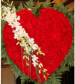 Solid Red Carnation Heart. An arrangement by Tarrytown Floral Designs.