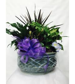 Large Spring Ceramic Dish Garden. An arrangement by Clark's House of Flowers.