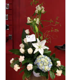 EFS42. An arrangement by Evangeline Flowers.