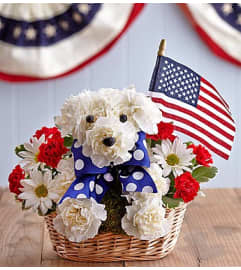 Patriot Pup. An arrangement by Lynette's Flowers and Gifts.