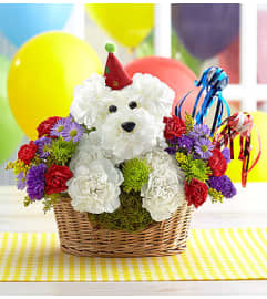 Puppy Celebration. An arrangement by Lynette's Flowers and Gifts.