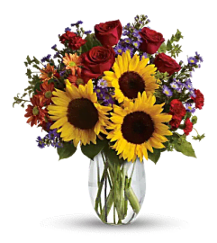 Pure Happiness. An arrangement by Fine's Flowers.