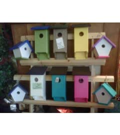 BLUEBIRD HOUSE. An arrangement by Flowers by Priscilla. BLUEBIRD HOUSE. An arrangement by Flowers by Priscilla.