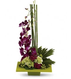 Zen Artistry. An arrangement by Anthurium Gardens Florist.