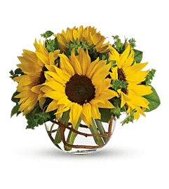 A Sunny Day. An arrangement by Anthurium Gardens Florist.