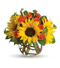 A Sunny Day. An arrangement by Anthurium Gardens Florist. A Sunny Day. An arrangement by Anthurium Gardens Florist.
