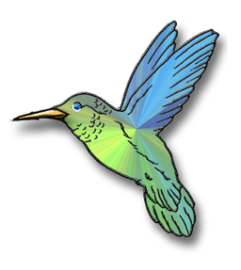 HUMMINGBIRD. An arrangement by Flowers by Priscilla. HUMMINGBIRD. An arrangement by Flowers by Priscilla.