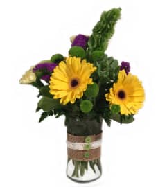 Lime Light. An arrangement by Goodman's Florist.