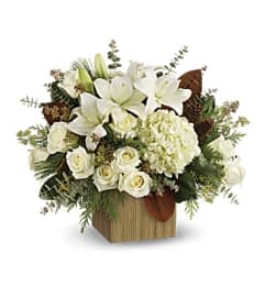 SNOWY WOODS. An arrangement by Fine's Flowers.