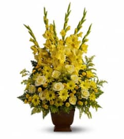 Sunny Memories - by Jennifer's Flowers. An arrangement by Jennifer's Flowers and Gifts.