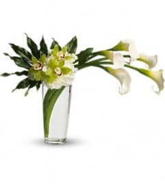 Moondance - by Jennifer's Flowers T79-1A. An arrangement by Jennifer's Flowers and Gifts.