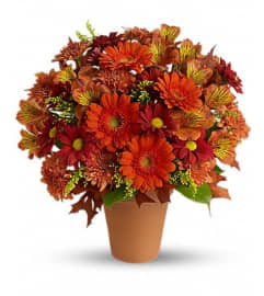 Golden Glow. An arrangement by Chelsea Florist, Inc.