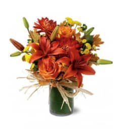 Orange Zest. An arrangement by Chelsea Florist, Inc.
