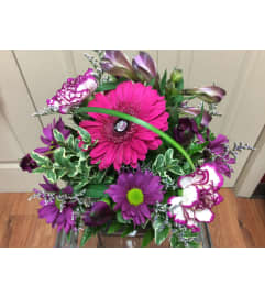 Judys love. An arrangement by My Secret Garden.