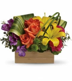 Shades Of Brilliance Bouquet TEV32-3A. An arrangement by Jennifer's Flowers and Gifts.