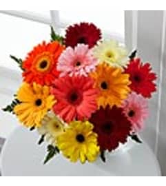 BRIGHT GERBERA DAISY BOUQUET. An arrangement by Fine's Flowers.