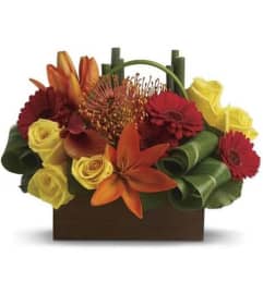 Bamboo Getaway. An arrangement by Anthurium Gardens Florist.