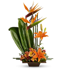 Exotic Grace. An arrangement by Brickell Ave Florist.
