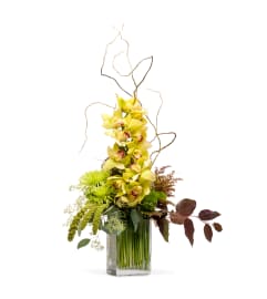 Day in Paradise. An arrangement by The Flower Patch Florist.