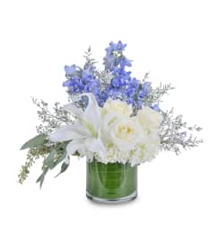 Calm and Cool. An arrangement by The Flower Patch Florist.