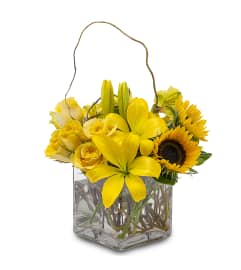 Sunny Side Up. An arrangement by The Flower Patch Florist. Sunny Side Up. An arrangement by The Flower Patch Florist.