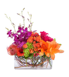 Powerfully Prismatic. An arrangement by The Flower Patch Florist. Powerfully Prismatic. An arrangement by The Flower Patch Florist.