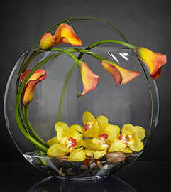 Circling the Sun. An arrangement by Aventura Blooming Petals.