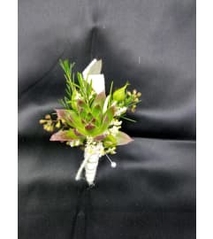 Mad about Succulents. An arrangement by Timp Valley Floral.
