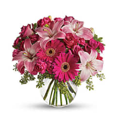 Alittle pick me up. An arrangement by Fine's Flowers.