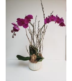 Purple Orchids and Branches. An arrangement by Brickell Exclusive Blooms.