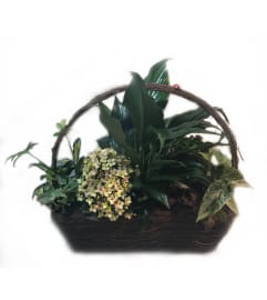 Simply Spring Basket. An arrangement by Goodman's Florist.