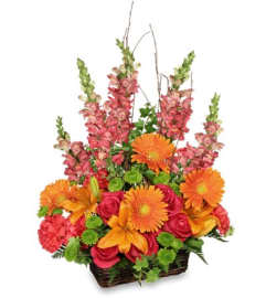 Beautiful Melody. An arrangement by Flower Lane.