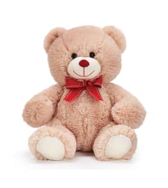 BEIGE BEAR WITH RED BOW. An arrangement by Sicola's Florist.