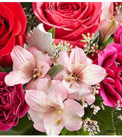 Designer's Choice - Affection. An arrangement by Flowers of Jacksonville.
