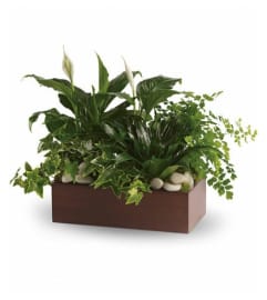 Box of Quiet Expressions. An arrangement by Flowers of Jacksonville.